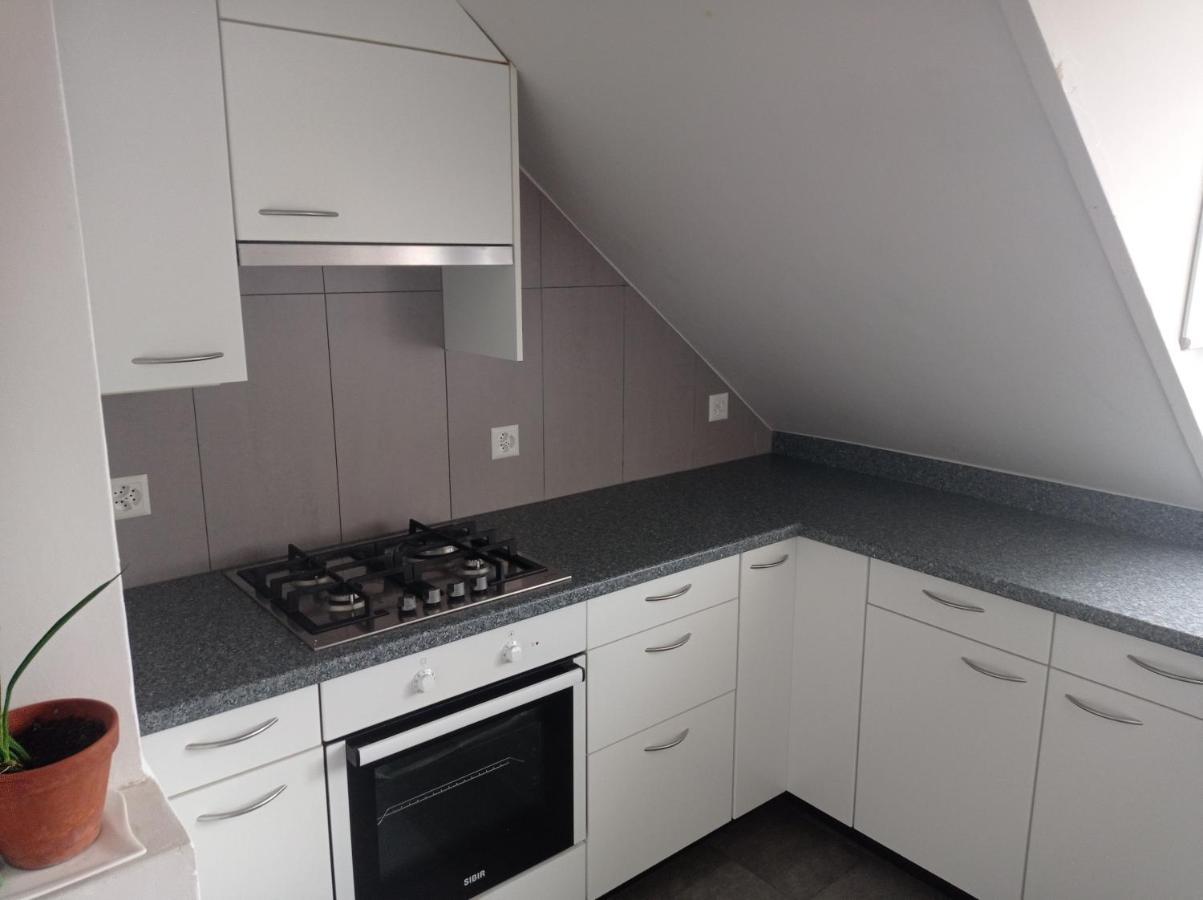 Gemuetliche Dachwohnung Санкт Гален Екстериор снимка