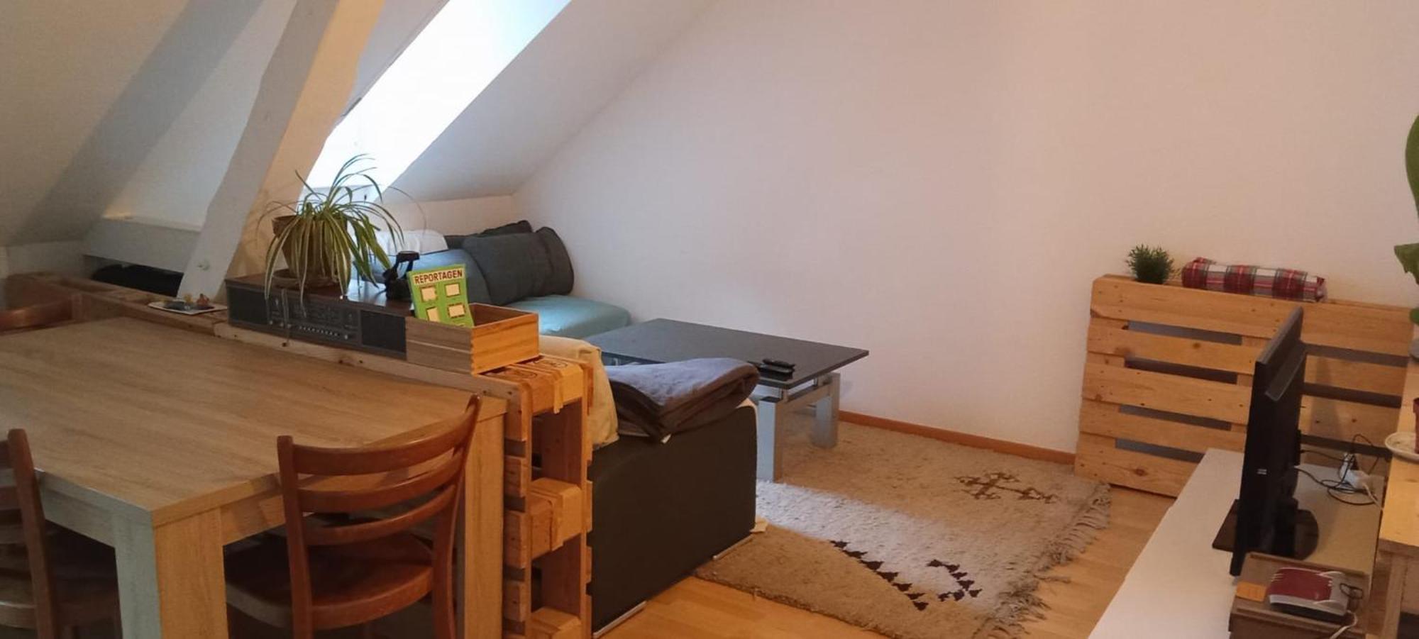 Gemuetliche Dachwohnung Санкт Гален Екстериор снимка